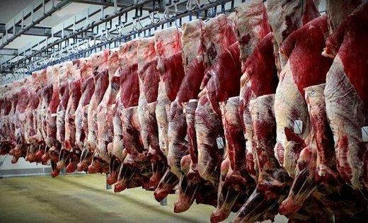 بحران گوشت کشور دست این ۵شرکت است!